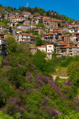 Spring scenery in the area of Kanalia in Greece, consisting of pink flowers and buildings. - obrazy, fototapety, plakaty