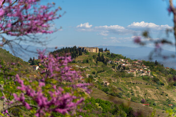 Spring scenery in the area of Canal and Fanari in Greece, consisting of pink flowers, buildings and the ancient castle. - obrazy, fototapety, plakaty
