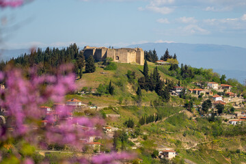 Spring scenery in the area of Canal and Fanari in Greece, consisting of pink flowers, buildings and the ancient castle. - obrazy, fototapety, plakaty