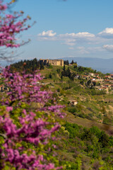 Fototapeta na wymiar Spring scenery in the area of Canal and Fanari in Greece, consisting of pink flowers, buildings and the ancient castle.