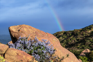 Rainbow with sandstone and wild lilac at Rocky Peak Park near Los Angeles and Simi Valley California. 