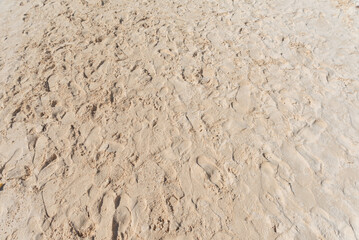 Beautiful sand beach and footprints