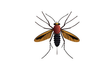 Fototapeta na wymiar mosquito