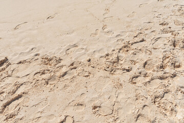 Fototapeta na wymiar Beautiful sand beach and footprints