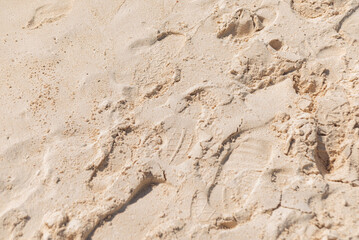 Fototapeta na wymiar Beautiful sand beach and footprints