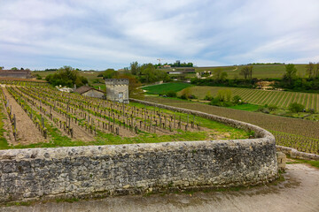 Famous Vineyard of Saint-Emilion. This vineyard make up the first vineyards in the world to award the title of 'Cultural Landscape' by UNESCO. Saint-Emilion, Gironde, Aquitaine, France, Europe. - 777787488