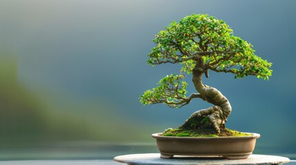 A serene bonsai tree with lush green leaves stands against a soft backdrop