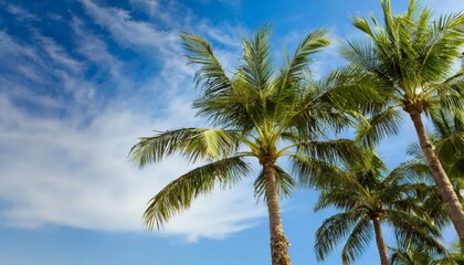 Fototapeta na wymiar Generated image of palm tree on the coast