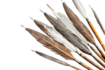 Quills for Writing Prescriptions isolated on transparent background