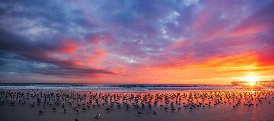Vibrant hues paint the sky over Daytona Beach as seagulls dance along the shoreline, welcoming a...