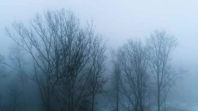 Aerial View On Fog Near Copernicus Mound In Cracow. Majestic Footage
