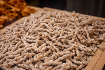 Italian food, dried handmade colorful pasta  with walnuts, ready to cook, Milan, Lombardy, Italy