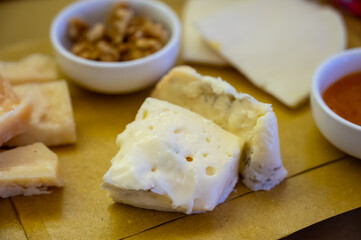 Cheese tasting, piece of italian blue cheeses gorgonzola dolce and picante with blue mold from north of Italy close up