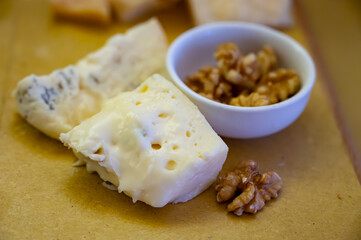 Cheese tasting, piece of italian blue cheeses gorgonzola dolce and picante with blue mold from north of Italy close up