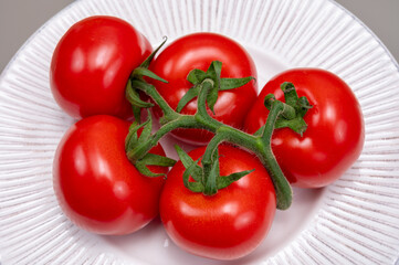 Red ripe tasty Dutch tomatoes growing indoor in greenhouse all seasons, food industry in Netherlands close up