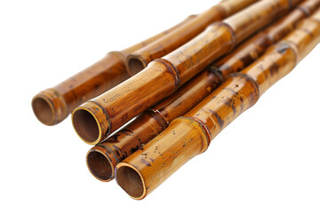 Reed Pipes isolated on transparent background