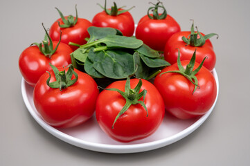 Red ripe tasty Dutch tomatoes growing indoor in greenhouse all seasons, food industry in Netherlands close up