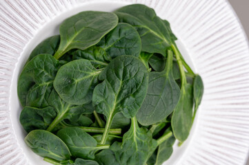 Fresh green baby Spinach leaves, diet and health concept, weight loss, spinach on ceramic plate, copy space