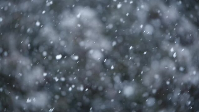 降雪（スローモーション）
