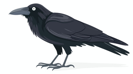 Cartoon crow isolated on white background flat vector