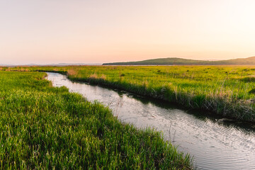 A small picturesque river among a green meadow during sunset. Small river in the countryside. Feeling of freedom, happiness, nostalgia. Tavrichanka, Primorsky Krai, Russia