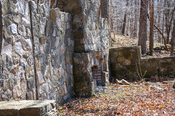 Old House Ruins with Fireplace in the Forest