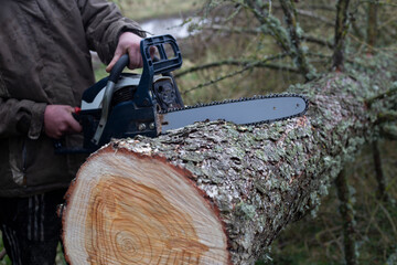 Chainsaw. Close-up of woodcutter sawing chain saw in motion. Concept is to bring down trees. - obrazy, fototapety, plakaty