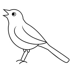 sketch of a bird