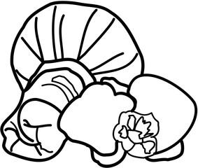 spa essentials illustration massage