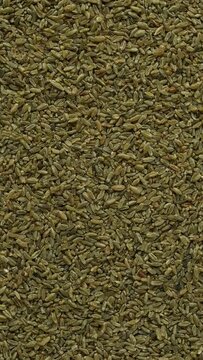 Freekeh grains as an abstract food texture. The cereal is made from immature  wheat which is fire-roasted to make a healthy, low-glycemic-index food. Table spin. Vertical video.