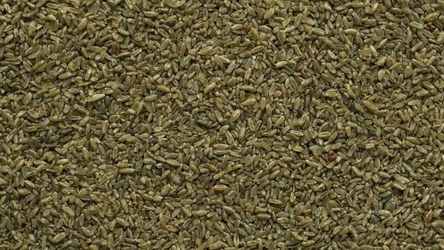 Top view of freekeh grains as an abstract food texture. The cereal made from immature, green, fire roasted wheat to make a healthy  food high in protein and minerals. Table spin.