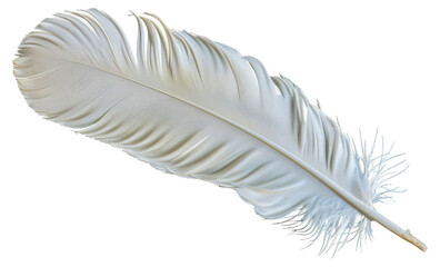 A white feather is shown in a close up, cut out - stock png.