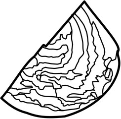 vegetable cabbage outline illustration