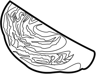 vegetable cabbage outline illustration