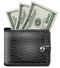 wallet with dollars isolated