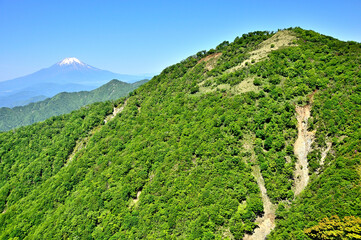 丹沢山地の丹沢山より　初夏の頃　富士山と丹沢主脈の山々を望む
