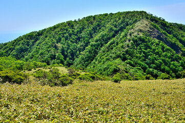 丹沢山地の箒杉沢ノ頭より日本百名山の丹沢山を望む
