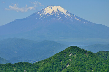 Fototapeta premium 丹沢山地の不動ノ峰より望む富士山 