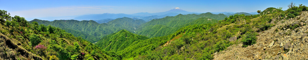 丹沢山地の不動ノ峰からのパノラマ　緑の山地と富士山
