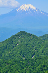 丹沢山地の棚沢ノ頭山頂より初夏の富士山を望む
