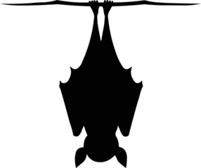 Silhouette of a bat hanging from a dry branch. Minimalist black illustration for halloween