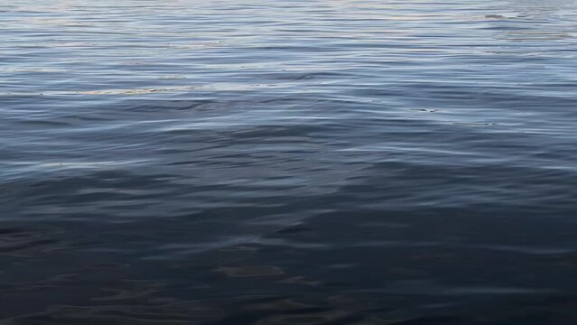 Water surface. Vertical Full HD video of small waves. Seascape footage.