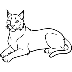 illustration of a cat with vector art silhouette