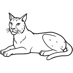 illustration of a cat with vector art silhouette