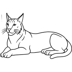 illustration of a cat with vector art silhouette