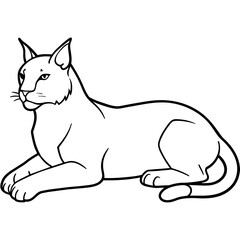 illustration of a cat with vector art silhouette