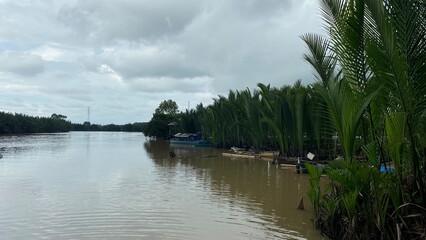 Fototapeta na wymiar Nipa palm forest on the riverside, Kera-kera dock, Lakkang island, Makassar, South Sulawesi