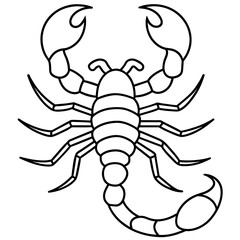 scorpion silhouette isolated on white