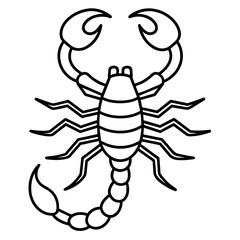 scorpion silhouette isolated on white