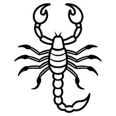 scorpion silhouette isolated on white